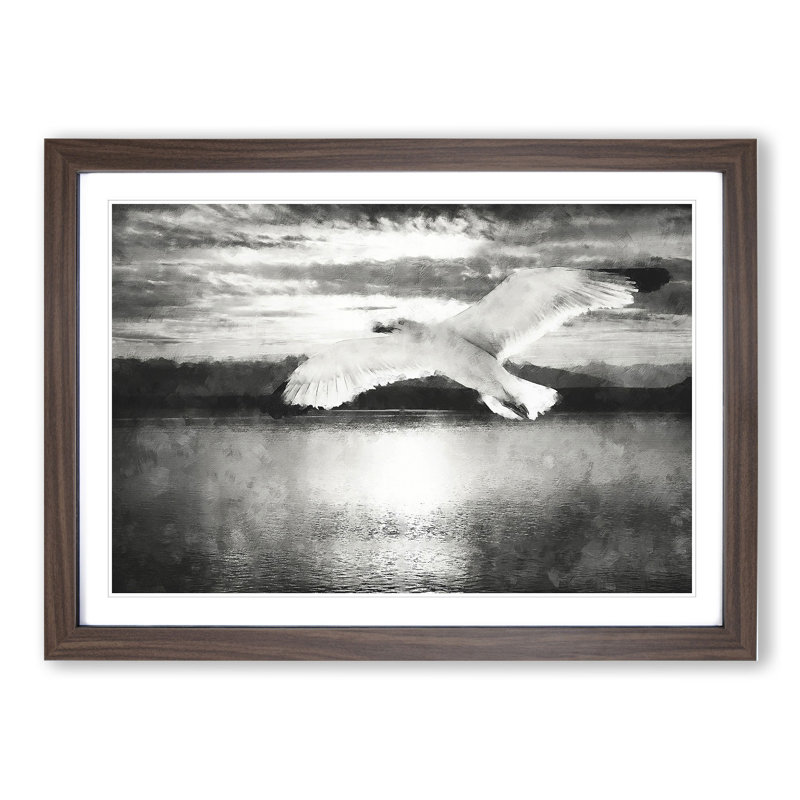 Seagull in Flight Vol.2 - Picture Frame Graphic Art, 36cm H x 48cm W x 2cm D, Walnut Framed