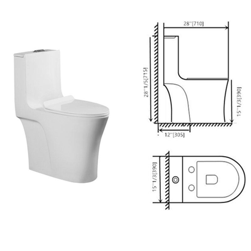 Toilette allongée une pièce à double chasse d'eau de qualité commerciale compacte 4 GPF