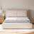 Dolante 10" Medium Hybrid Mattress-32341157