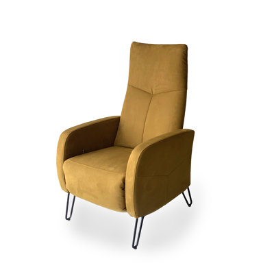 Anelisse Upholstered Recliner