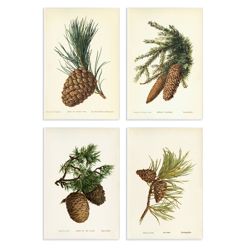  Pinecone, études latines sur plaque, art mural par Tina Higgins Designs, Inc., H 19 po x l 13 po