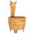 Auroris Basket
