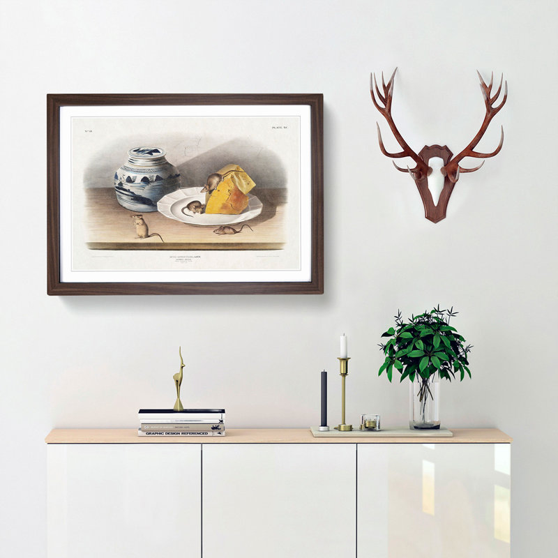 Mice by J.W. Audubon - Framed Print, 36cm H x 48cm W x 2cm D, Walnut Framed