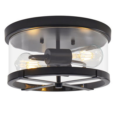 Alixandra 2-Light Flush Mount Clear Glass Ceiling Light with Metal Frame
