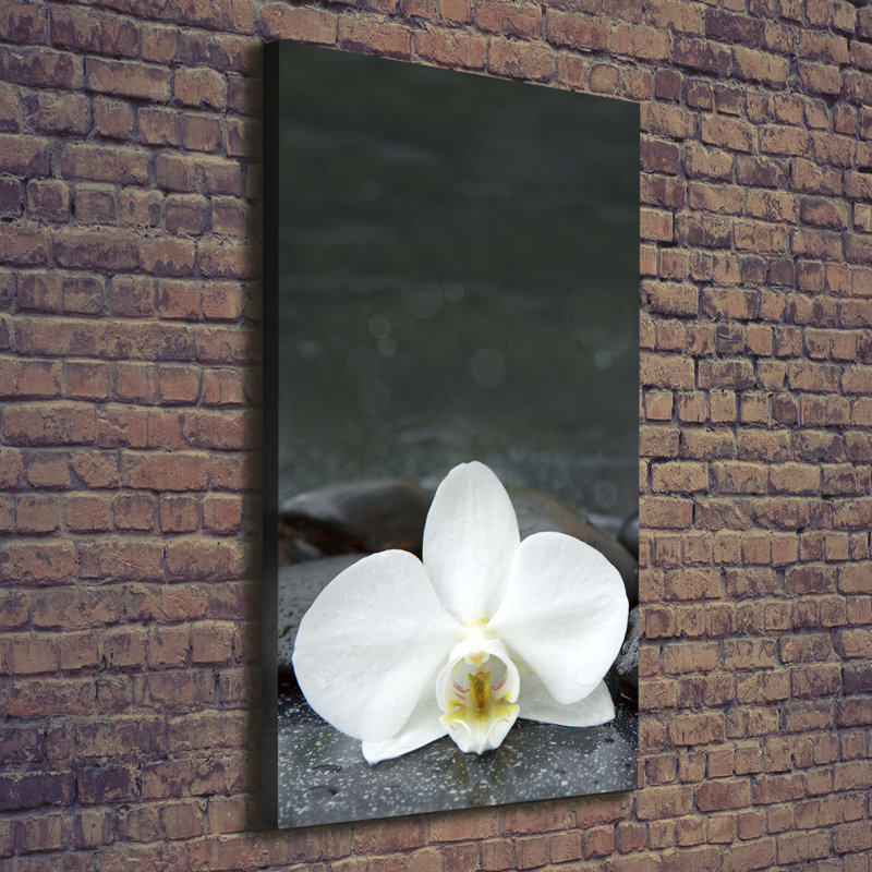 Brick Wall - Wrapped Canvas Print