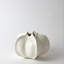 Star Fruit Vase-11372811