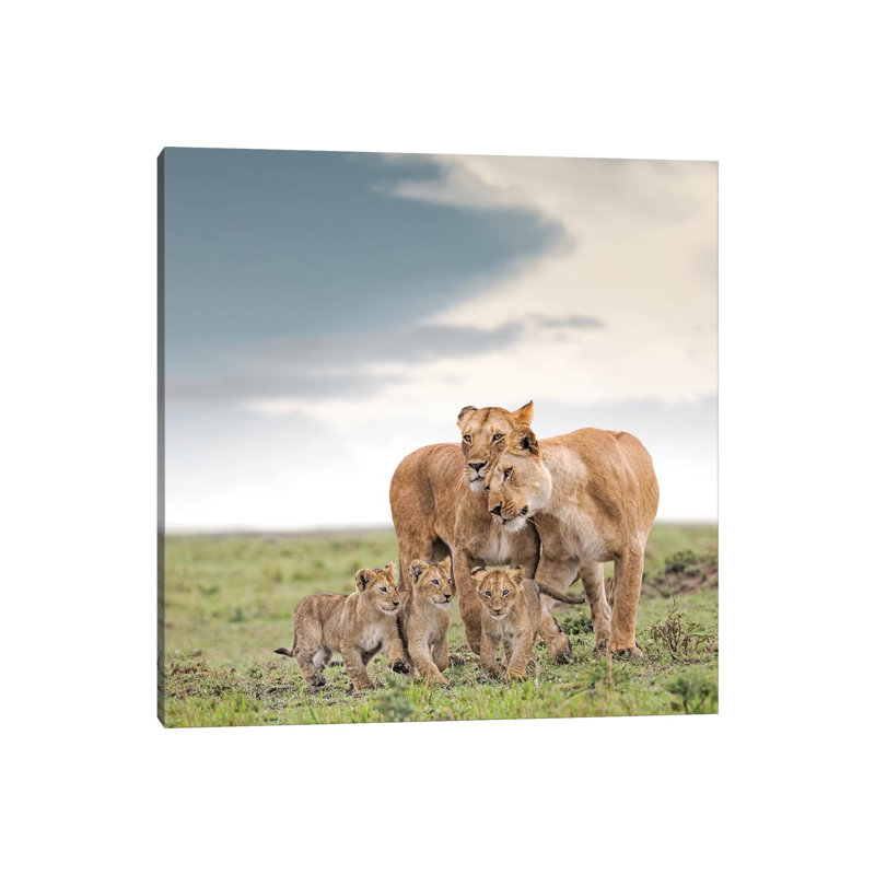 Colour Lioness & Cubs 1 Piece Wall Art on Canvas, 30.48 cm H x 30.48 cm W, Wrapped Canvas