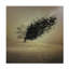Art sur toile Radin-582412797