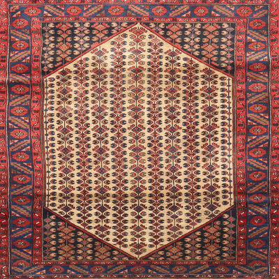 Oriental Indoor Rug