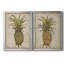 «Pineapple Study I», ensemble de 2 impressions sur toile encadrées-406536236-406536237