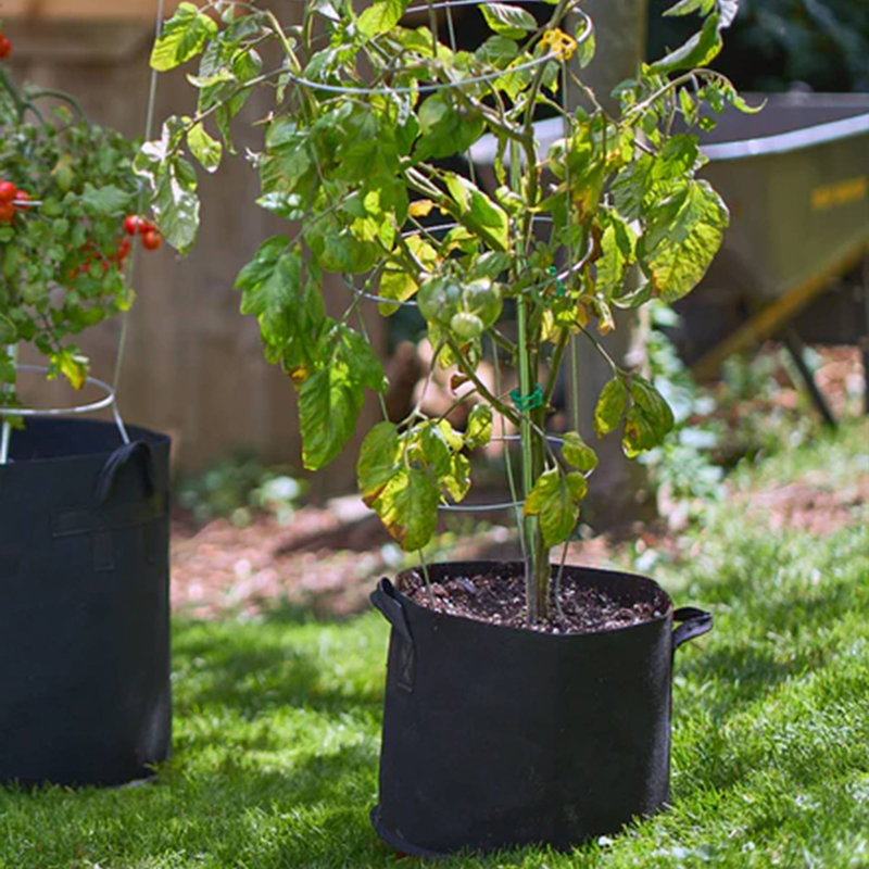 Pot Planter