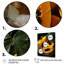 «Harvest Hues Papaya Fruit Perfection II», art mural fruits-1166227739