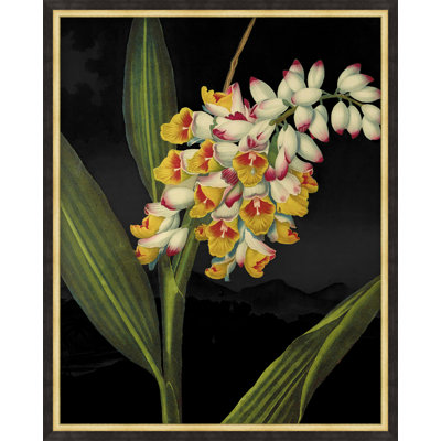 Poetic Botanicals 6 Print by Lillian August