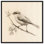 Nest Niche Canvas Vintage Illustrations by Art Remedy