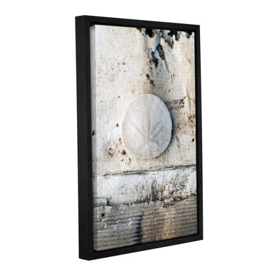 « coquillages iii », reproduction de photo sur toile tendue encadrée