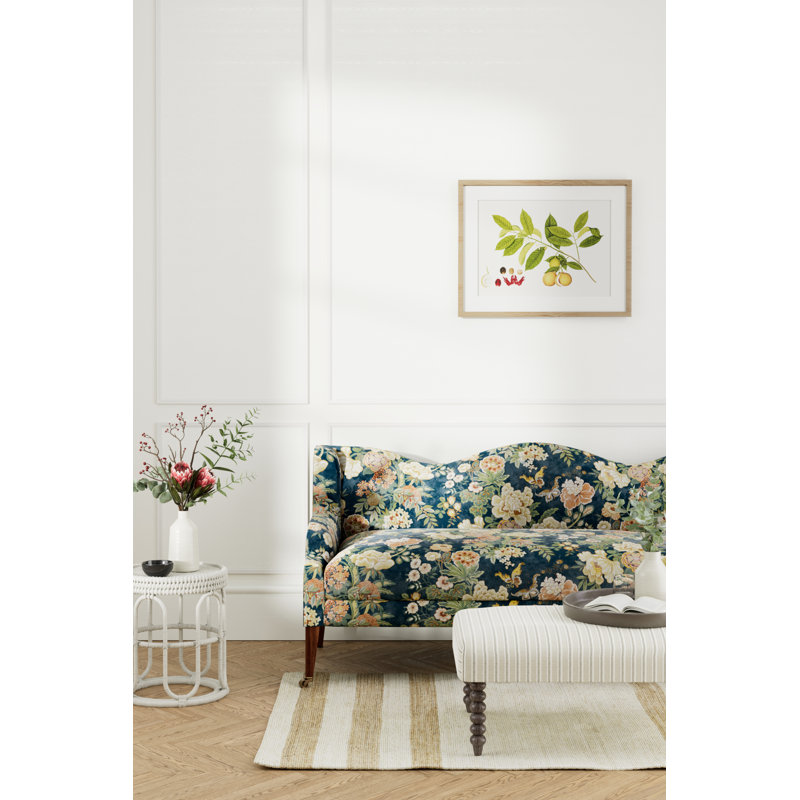 Emperor Peony Fabric, Midnight/Apricot