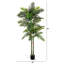 Arbre 96 po Robellini 96 po