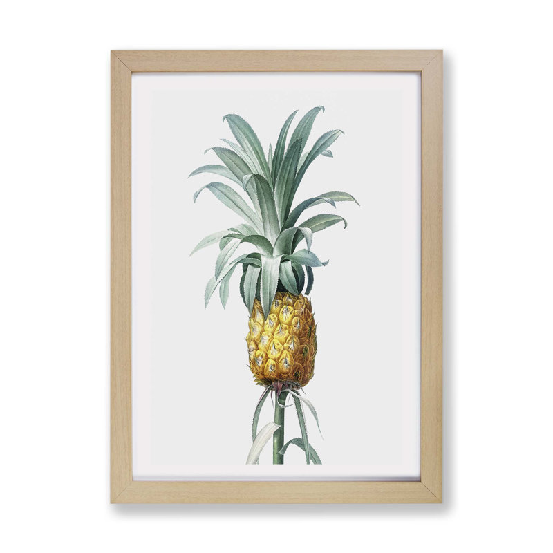 Pineapple Fruit by Pierre-Joseph Redoute - Wall Art, 63cm H x 45cm W x 2cm D, Walnut Framed Paper