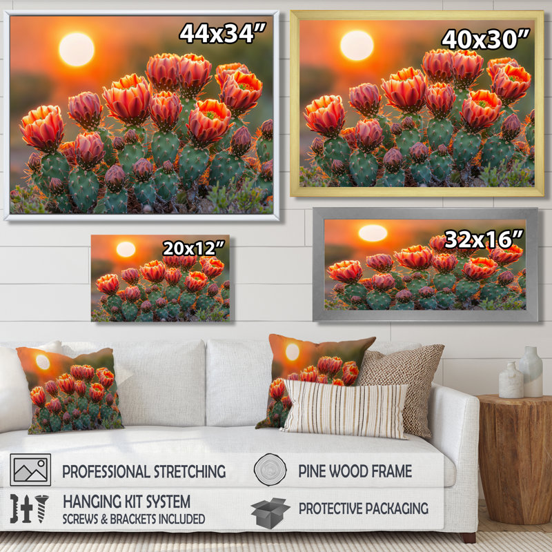 Kirsteni Blooming Cacti At Sunset I - art mural de cactus pour le salon, H 34 po x l 44 po, Cadre flottant, Brun