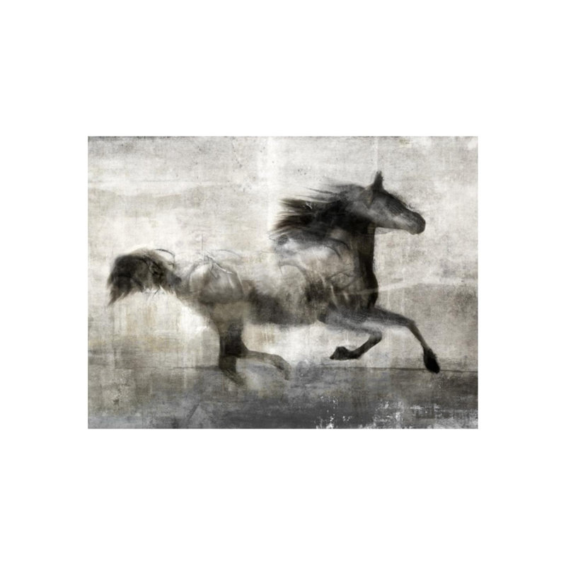Quick Step Print by Leftbank Art, 40" H x 50" W, Plexi