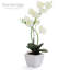 Orchidée artificielle dans un vase-64581341