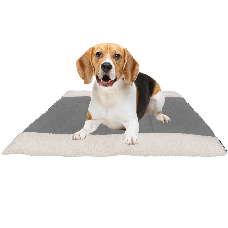 Tapis / coussin pour animaux 2 en 1 Rozlynn, Gris
