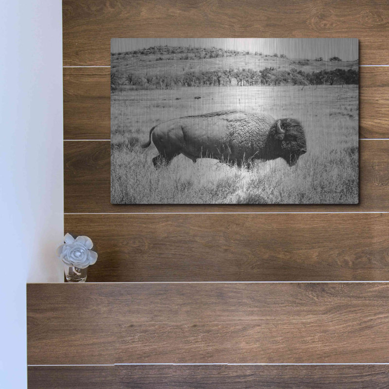 "Buffalo I BW" par Debra Van Swearingen, H 12 po x l 16 po