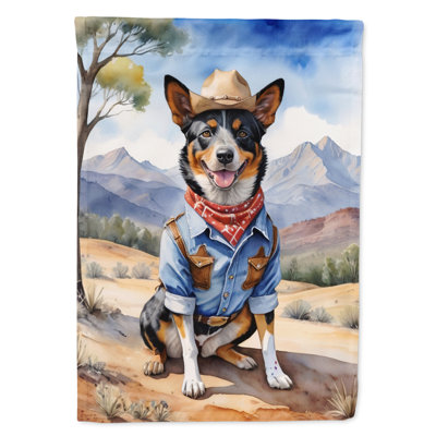 Drapeau Cowboy Welcome House