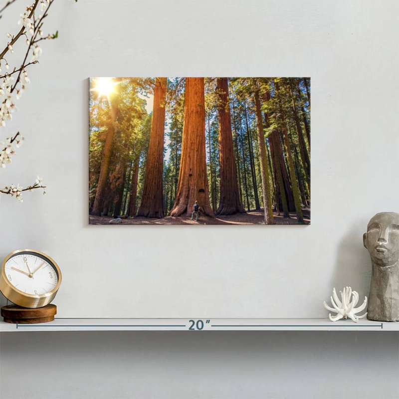 Harnek Giant Sequoia Trees, 8" H x 12" W