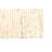 Sienna Beige Rug 5'0" x 7'11"