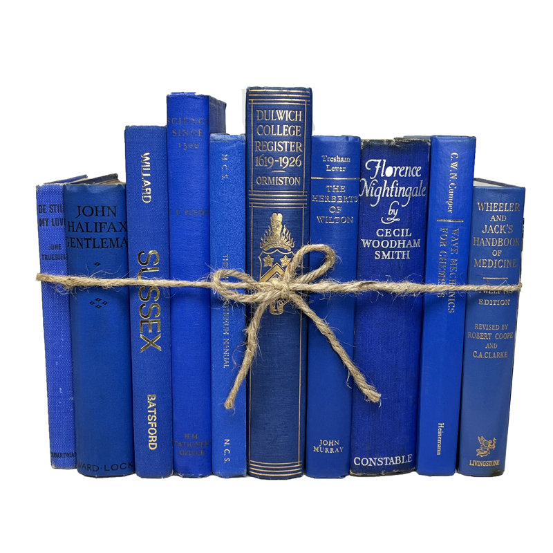Livres décoratifs - Ensemble de livres bleu royal rétro - 1 pied de livres bleus