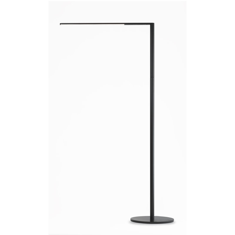 Lady7 52.05'' LED Task Floor Lamp with USB, Metallic Black