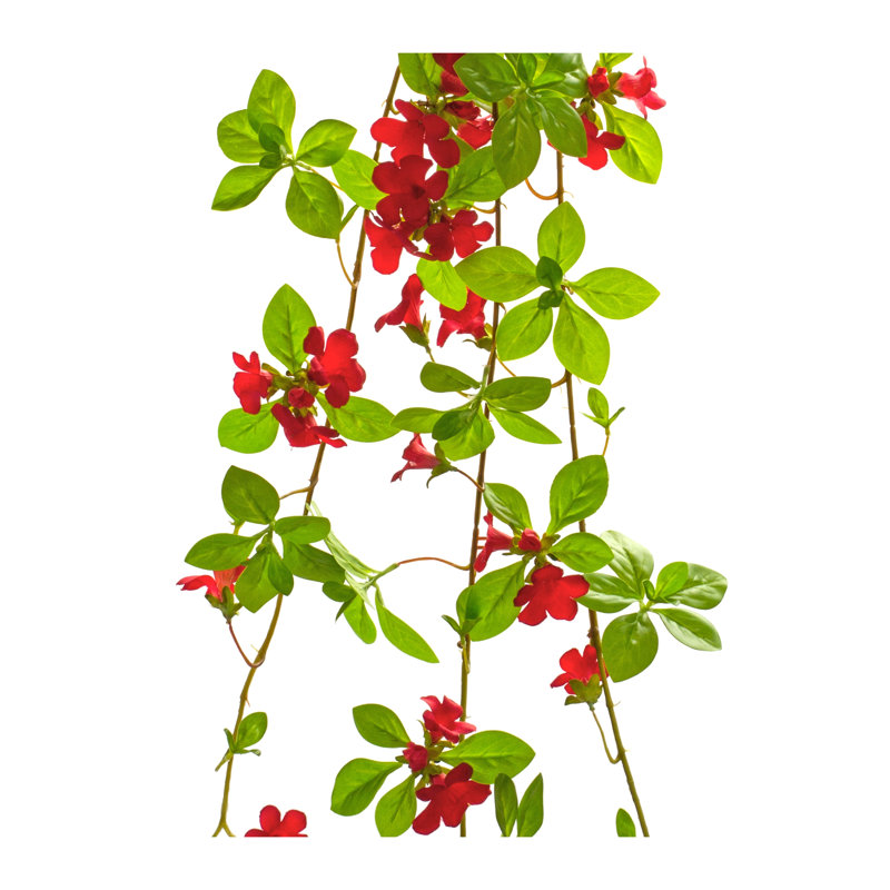 Sprays pour vignes, Rouge