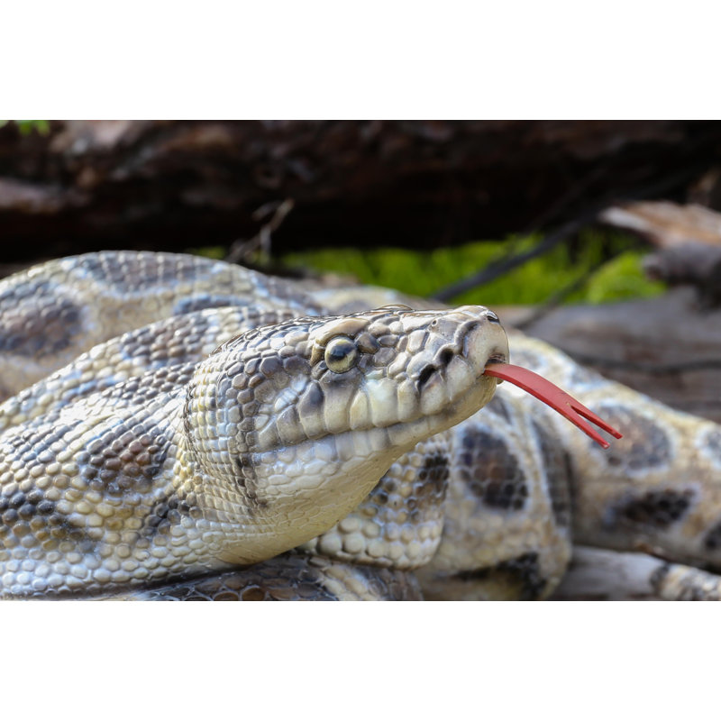 CURLED UP PYTHON STATUE