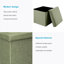 Einar 38cm Wide Square Solid Colour Ottoman with Storage-1226496083