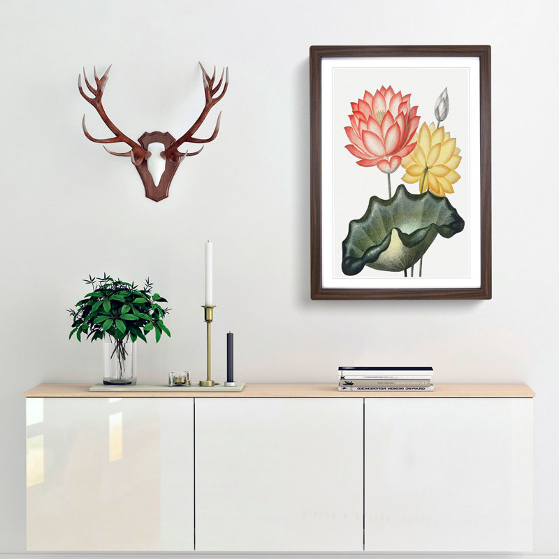Egyptian Water Lilies by R.J. Thornton - Picture Frame Painting Print, 36cm H x 27cm W x 2cm D, Walnut Framed
