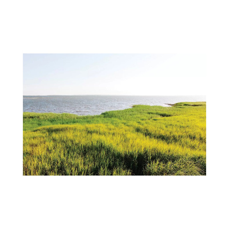Charleston's Pitt Street Bridge V by Bethany Young - Print on Canvas, Wrapped Canvas, 20.32cm H x 30.48cm W x 1.91cm D