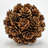 Sharen Handmade Natural & Preserved Topiary Balls – Decorative Bowl Filler Orbs In Green & Brown – Botanical Accent Set-761173096