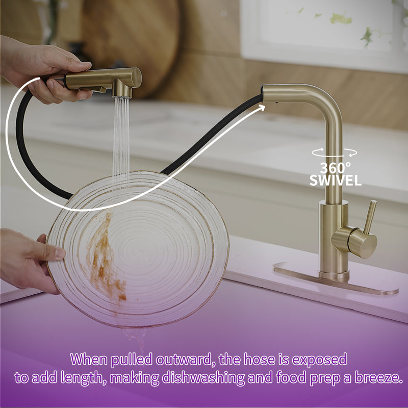 Pull Out Single Handle Kitchen Faucet With Deck Plate and Supply Lines, Brushed Gold