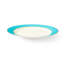 11.5" Dinner Plate in Yellow-1748740189