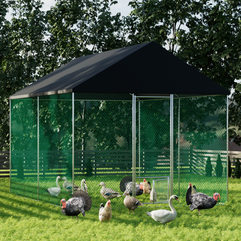 Snellville Chicken Run, 270cm H x 300cm W x 400cm D