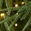 Arbre de Noël-1594550052