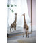 Miroir mural Saturna