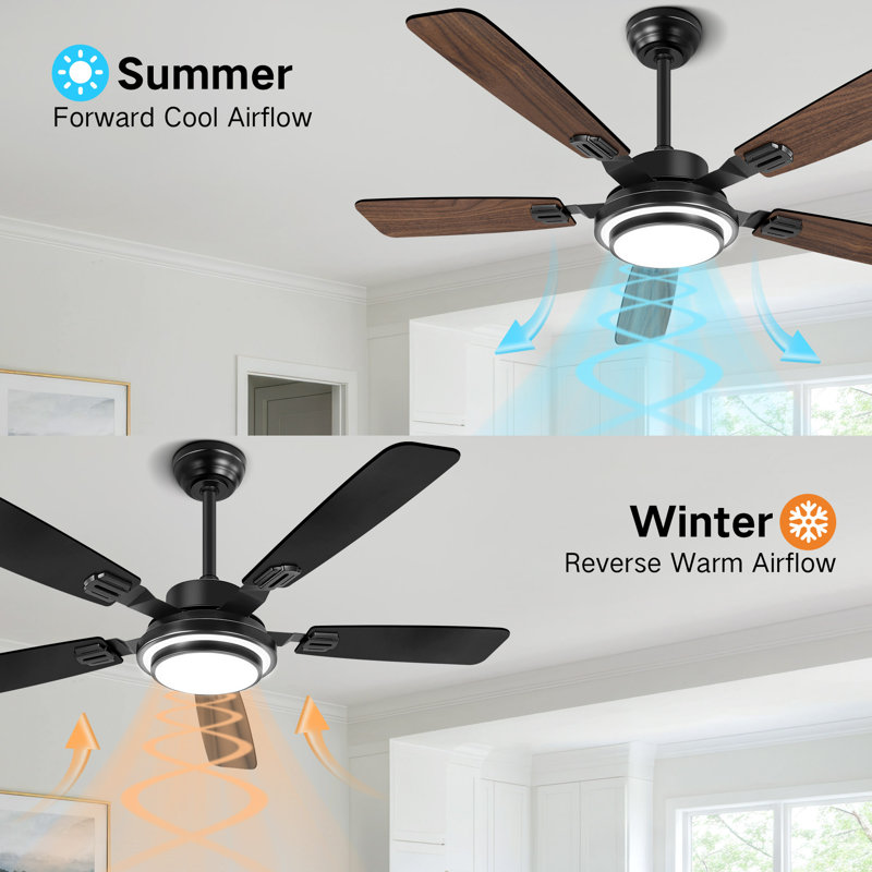 52" RGB Ceiling Fan With Led Light and Remote/APP Control, Black