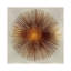 «Bronze Sunburst I», impression sur toile tendue-19746275