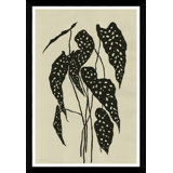 Begonia Print by Susan Hable