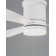 132cm Ceiling Fan with LED Lights