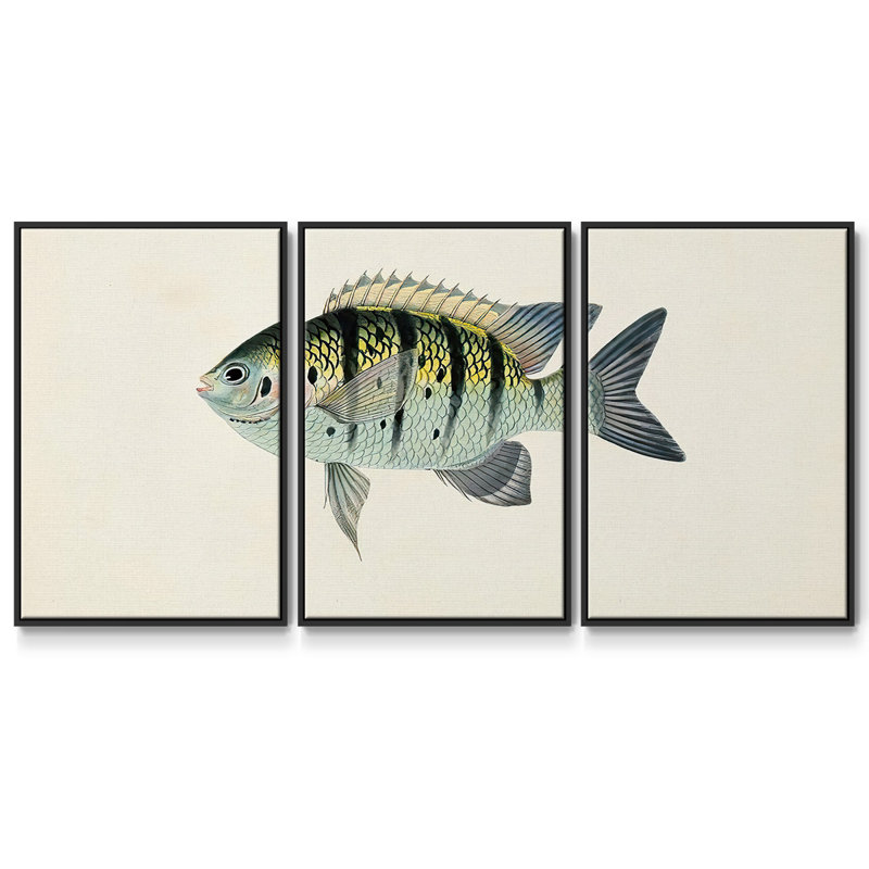 Collection de poissons tropicaux VI 3 pièces, H 40 po x l 78 po x P 2 po, Noir