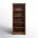 Chatrice Standard Office Bookcase with Adjustable Shelves
