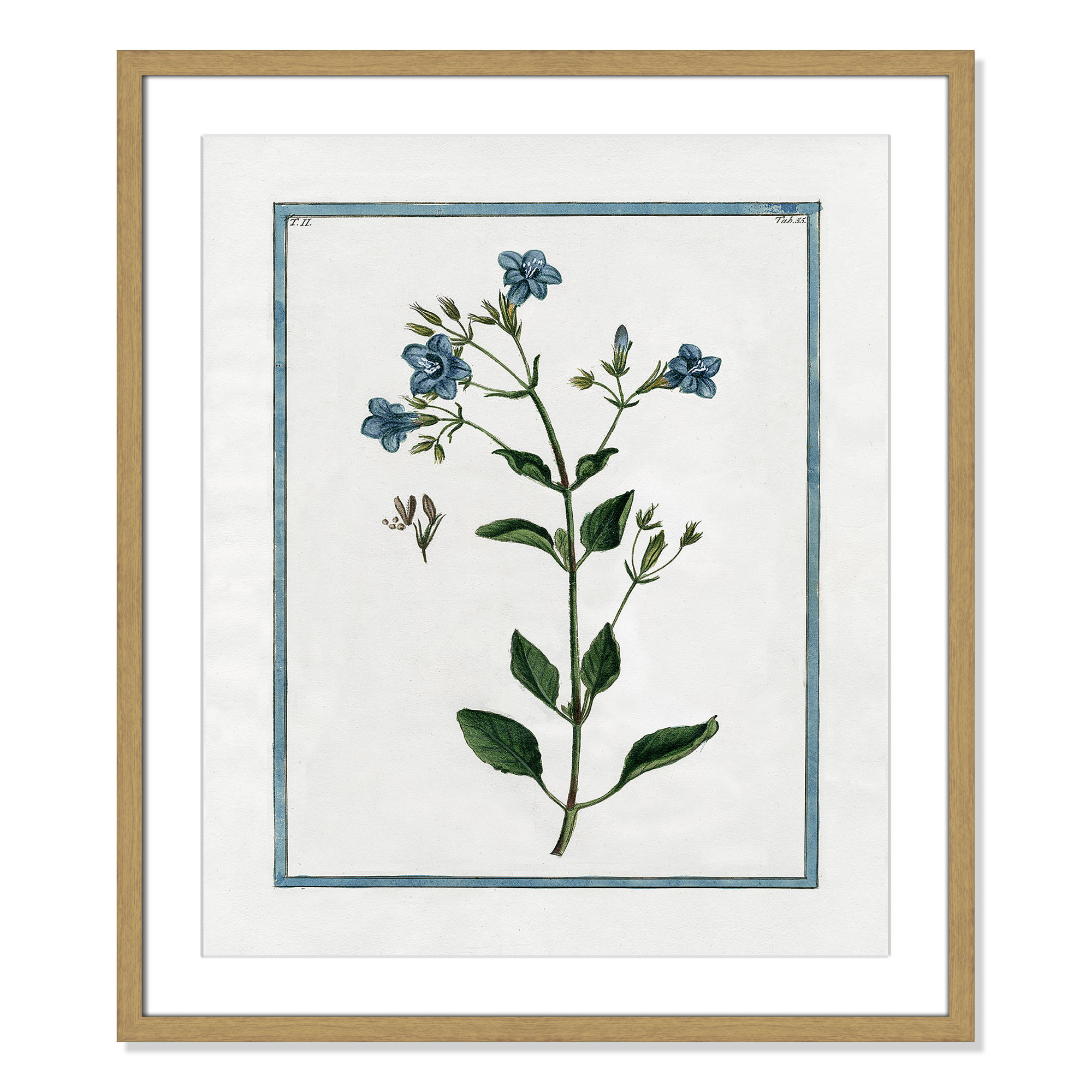 Shabby Elegance Botanical II - Framed Art, Natural Framed, 21.5" W x 25.5" H
